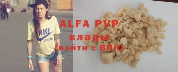 ГАЛЛЮЦИНОГЕННЫЕ ГРИБЫ Белокуриха