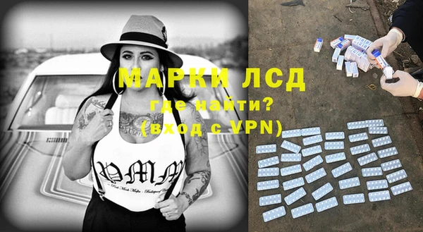 ГАЛЛЮЦИНОГЕННЫЕ ГРИБЫ Белокуриха