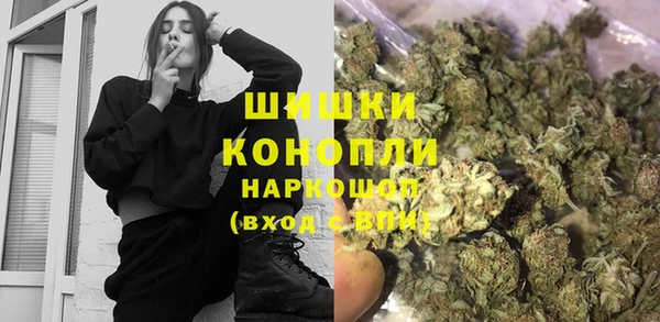ГАЛЛЮЦИНОГЕННЫЕ ГРИБЫ Белокуриха