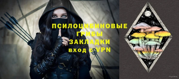 ГАЛЛЮЦИНОГЕННЫЕ ГРИБЫ Белокуриха